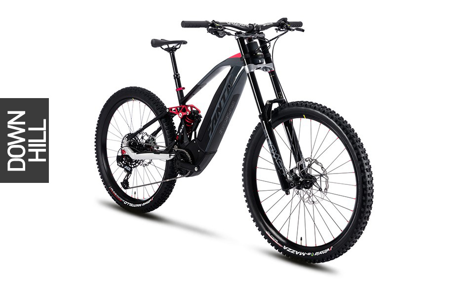 EBIKE XXF-2.0-RACE